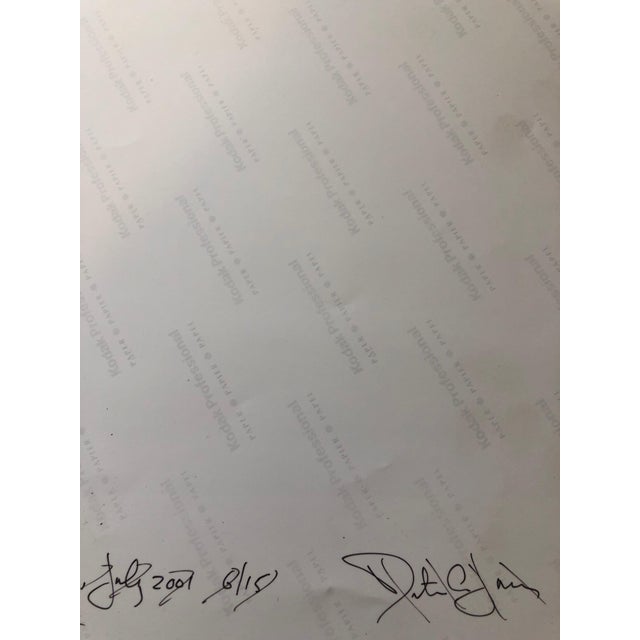 2000 - 2009 Peter C. Jones 1, Swiss Chard, Kitchen, Large Format Photo 24X20 Color Photograph Beach House RI, 2001 For Sale - Image 5 of 6