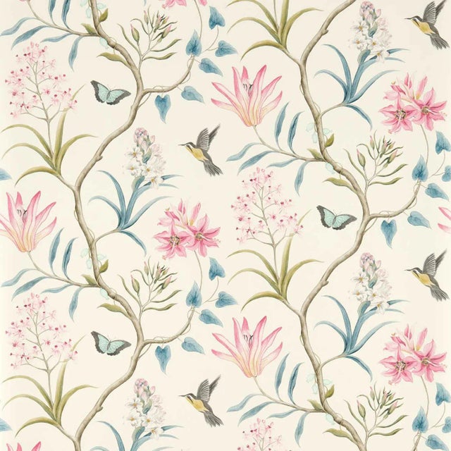 Sanderson Clementine Wallpaper in Dusky Pink - a Sample For Sale