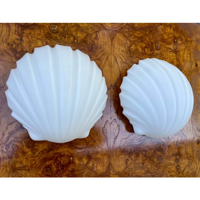 Mid Century German Glass Opaline Shell Sconces- a Pair For Sale - Image 12 of 12