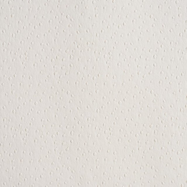 2020s Schumacher Ostrich Vegan Leather Fabric In Ivory For Sale - Image 5 of 5