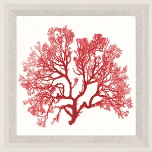 Bradbury Seaweeds 06, Framed Artwork