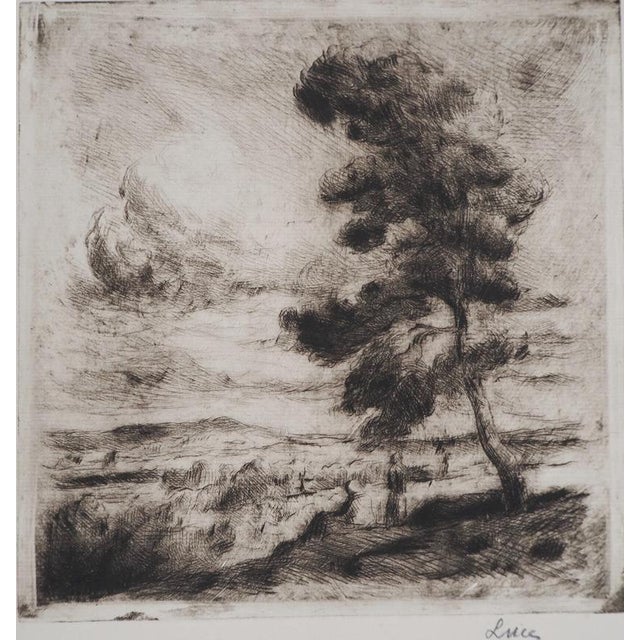 Maximilien Luce, Landscape of Yonne, 1900, Original Etching For Sale - Image 3 of 6