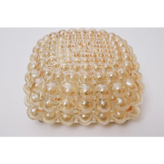 Golden Bubble Wall Light with Glass by Helena Tynell for Glashütte Limburg, 1960s For Sale - Image 13 of 17