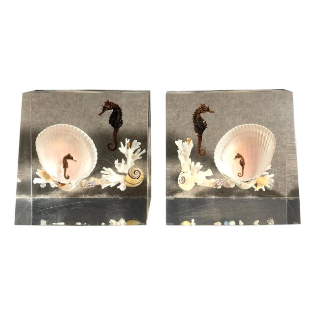 Mid 20th Century Pair Of Whimsical Clear Bookends With Seashells And Seahorse For Sale