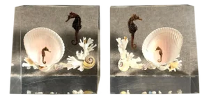 Mid 20th Century Pair Of Whimsical Clear Bookends With Seashells And Seahorse