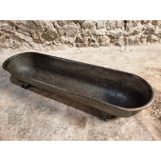 Black Antique French Cast Iron Planter, 1890s For Sale - Image 8 of 14
