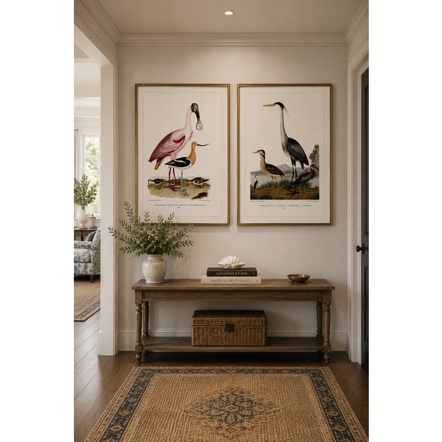 Great Heron & Roseate Spoonbill Diptych, Vintage Art Print Reproduction, 40" X 60" For Sale - Image 9 of 12