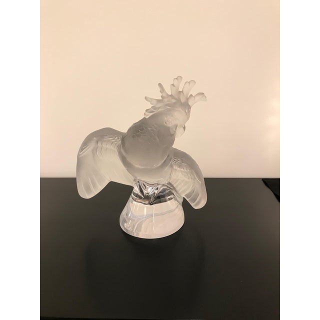 This is a large Lalique crystal cockatoo bird sculpture. Signed Lalique France on the base.