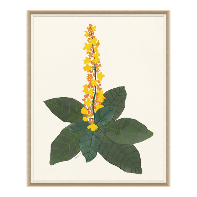 Euphorbia by Susan Hable For Sale