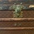 Vintage Authentic Louis Vuitton Travel Trunk with original label inside. Brass detailing. Leather and Wood. Has been...