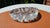 Handmade Ice Glass Bowl from Magnor, Norway, 1970s For Sale - Image 4 of 10