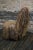 1970s Shaggy Rope Chair Aka the "Cousin It" in the Style of Corito Escario-Yu or the Campana Bros For Sale - Image 4 of 7