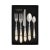 The Aladdin Brilliant Flatware Five-Piece Place Setting - service for four guests - features elegant pearlized handles...