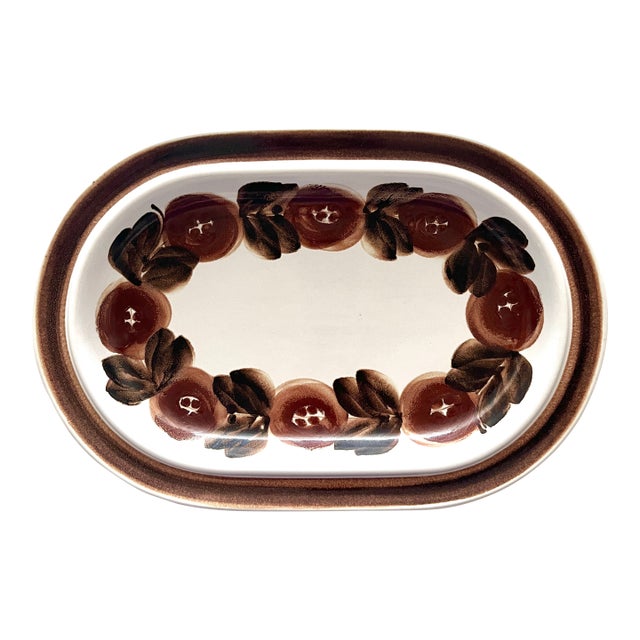 1970s Arabia of Finland Rosmarin Brown Oval Serving Platter For Sale