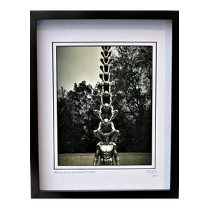 Framed Travel Photography by C. Damien Fox. Signed.