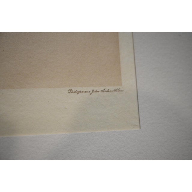 Edward S. Curtis "Snoqualmu Type" Photogravure on Gampi Tissue, 1913 — Cardozo Collection For Sale In Denver - Image 6 of 7