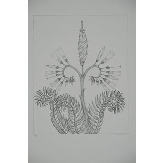 Gochka Charewicz, Fleur en courbes, Lithograph For Sale