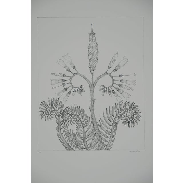 Gochka Charewicz, Fleur en courbes, Lithograph For Sale
