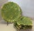Fitz and Floyd Vintage Fitz Floyd Majolica Green Cabbage Leaf Serving Platter Plates-Set of 7 For Sale - Image 4 of 6