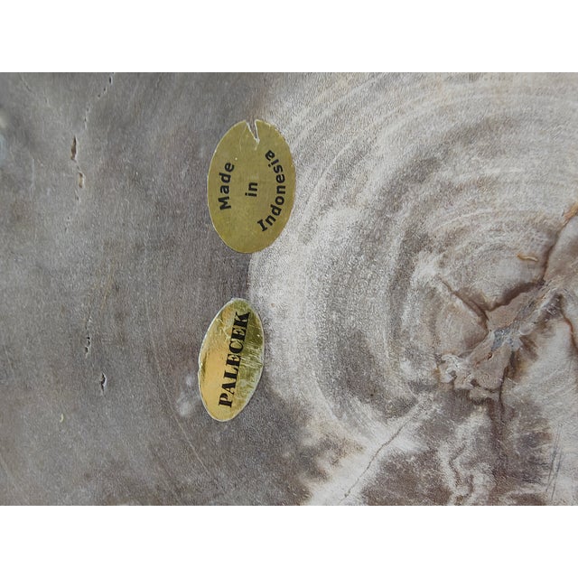 2010s Palecek Petrified Wood Slab For Sale - Image 5 of 11