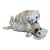 Bavent Terracotta French Pottery Dogs With Glass Eyes, C. 1900 For Sale