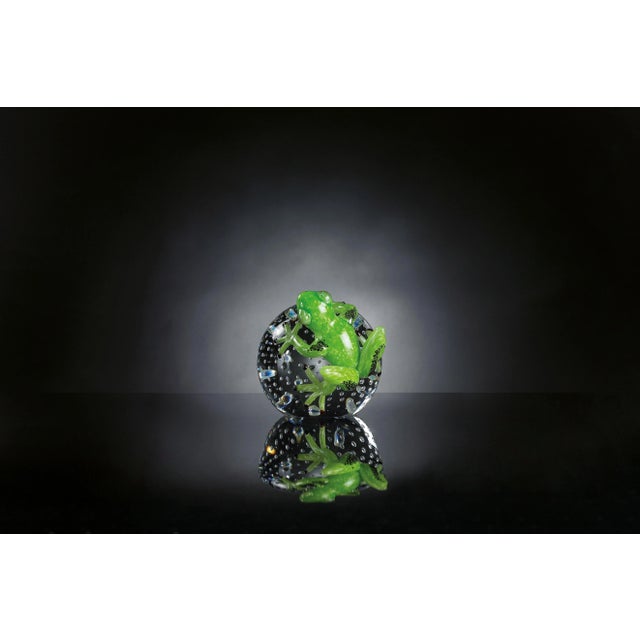 Each piece in our collection has been handmade and mouth blown by glass artists. The small imperfections that can be found...