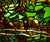 Modern Landscape Electrified Stained Glass Panel For Sale - Image 9 of 11