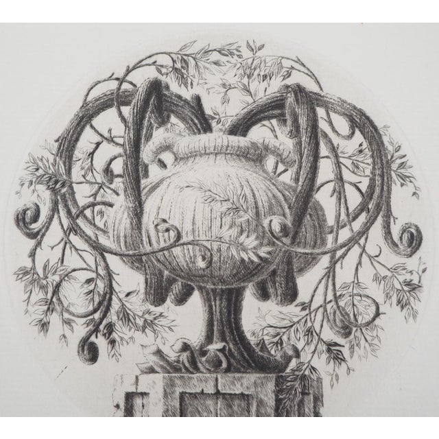 François Houtin Second Vase, 1992 Original etching on Vellum Hand signed bottom right Numbered out of 60 copies...