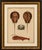 Antique lobster, crab & horseshoe crab engraving – bertuch, 1792 original antique hand-colored copper engraving depicting...