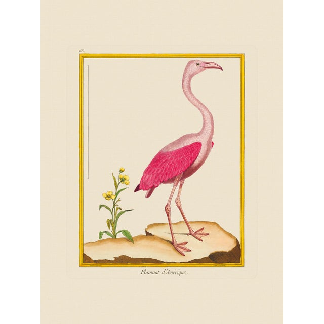 Set of eight unframed giclee reproductions of blue birds. Here we have a Great Blue Heron, Purple Heron, two types of...
