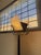 Triana Floor Lamp by Perry King and Santiago Miranda for Arteluce, 1980s., in Very Good conditions. Designed 1980 to 1989...