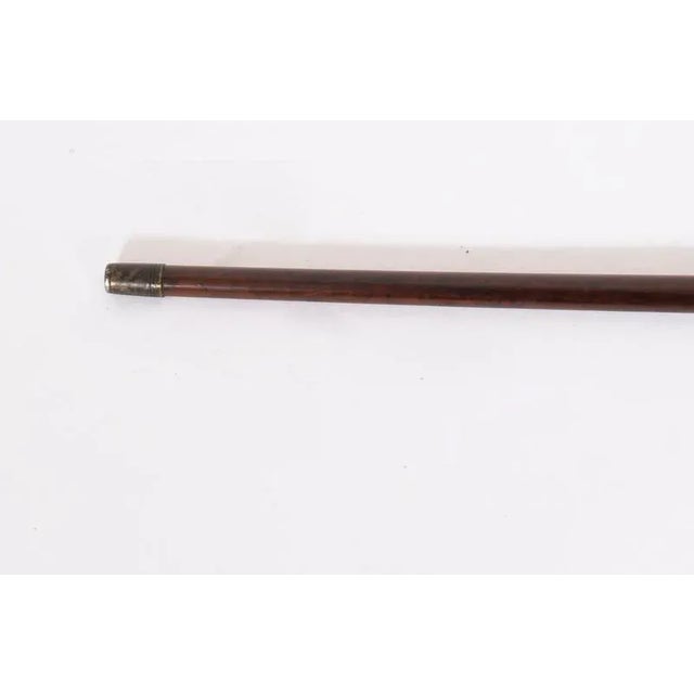 Antique Silver and Snakewood Watch Opera Cane, 1800s For Sale - Image 16 of 17