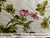 Textile Vintage Botanical Fabric by the Yard : Williamsburg Interpretation by Schumacher Fabrics For Sale - Image 7 of 8