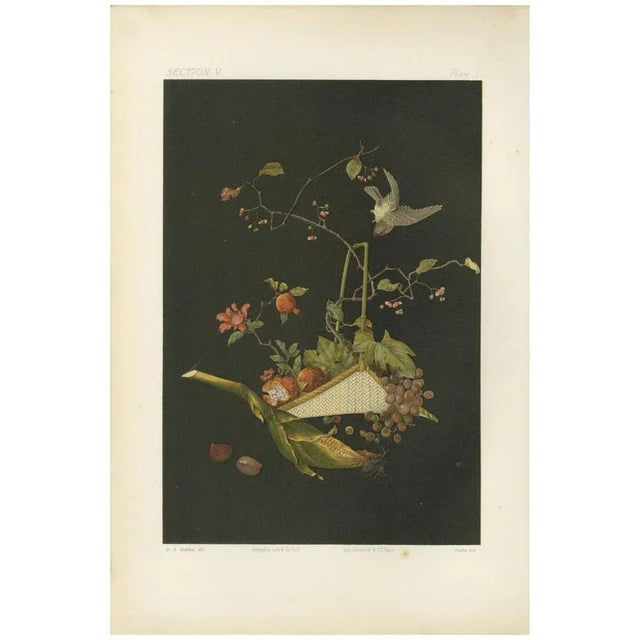 Paper Audsleys the Ornamental Arts of Japan, 1884, Lithograph For Sale - Image 7 of 7