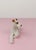Porcelain Figurine in the Shape of a Wire Fox Terrier from Hutschenreuter, 1950s For Sale - Image 9 of 18