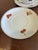 Mid 20th Century Seltmann Weiden Bavaria West Germany Fruit Tea Cups & Saucers - Set of 6 For Sale - Image 15 of 15