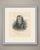An original antique lithograph portrait of napoleon bonaparte, the frontispiece of madou's vie de napoléon, published at...