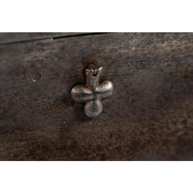 Mid-19th Century Scrigno Trunk, Northern Europe For Sale - Image 3 of 8