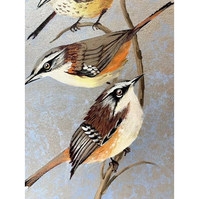 Magdalena Nalecz, Grey Antbird and Slaty Bristlefront, 2021, Acrylic on Canvas For Sale - Image 4 of 6