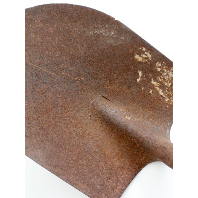 Antique Garden Tool Collection For Sale - Image 9 of 18