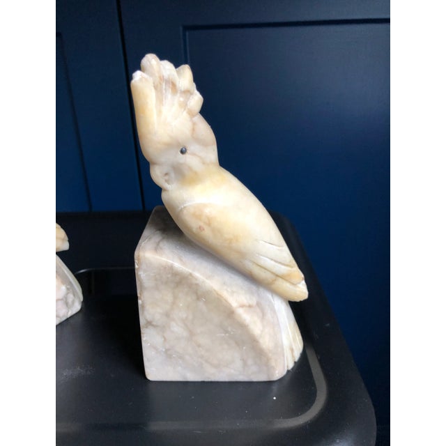 1930s 1930s Italian Alabaster Carved Cockatoo Bookends-A Pair For Sale - Image 5 of 9
