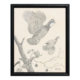 1974 Naturalistic Pen and Ink Drawing of a Pair of Quail Birds in Flight For Sale