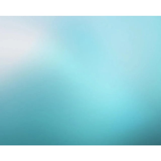 Abstract Paul Snell "Bleed # 202020", Photograph For Sale - Image 3 of 6