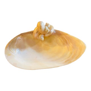 Large Clam Sea Shell Vide Poche Dish For Sale