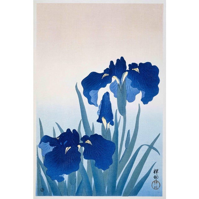 Blue Iris Flowers by Ohara Koson, Japanese Woodblock Print, 16" X 24" For Sale