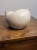 1980s Vintage 80's Modernist Design Decorative Biomorphic Nautilus Bowl. Signed For Sale - Image 5 of 12