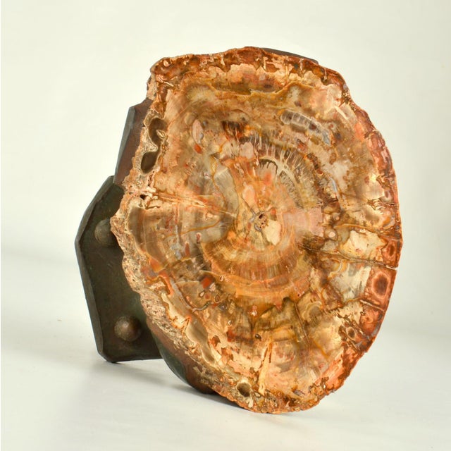 Architectural Push Pull Door Handle in Petrified Wood and Bronze, 1970s For Sale - Image 13 of 15