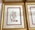 Set of 4 William Henry Harvey Seaweed For Sale - Image 9 of 12