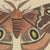 Bertuch, Exotic Butterflies and Saturniid Moth, 1815, Print For Sale - Image 6 of 12