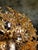 German Sputnik Chandelier in Brass and Amber Murano Glass from Sische, 1960 For Sale - Image 17 of 18